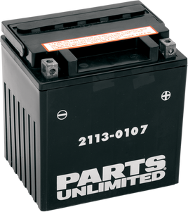 PARTS UNLIMITED AGM Battery - YIX30L-BS CTX30L-BS