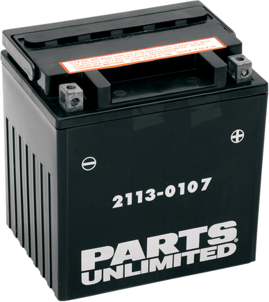PARTS UNLIMITED AGM Battery - YIX30L-BS CTX30L-BS