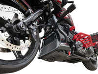 THRASHIN SUPPLY CO. Skid Plate - Carbon Fiber/Forged - With Red Brackets - FLHX/FLTRX TSC-3035-2