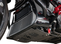 THRASHIN SUPPLY CO. Skid Plate - Carbon Fiber/Forged - With Red Brackets - FLHX/FLTRX TSC-3035-2